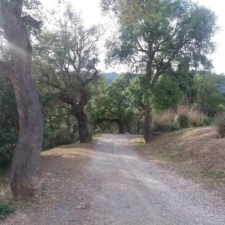Il Melo Cotogno 3* ריו מרינה
